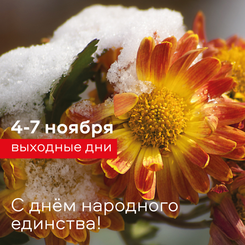 Праздничные выходные в клинике Соло! Праздничные выходные в клинике Соло!